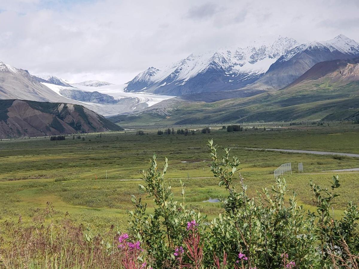 Denali Wild Stay - Moose Cabin, Free Wifi, 2 Private Bedrooms, Sleep 6 ヒーリー エクステリア 写真