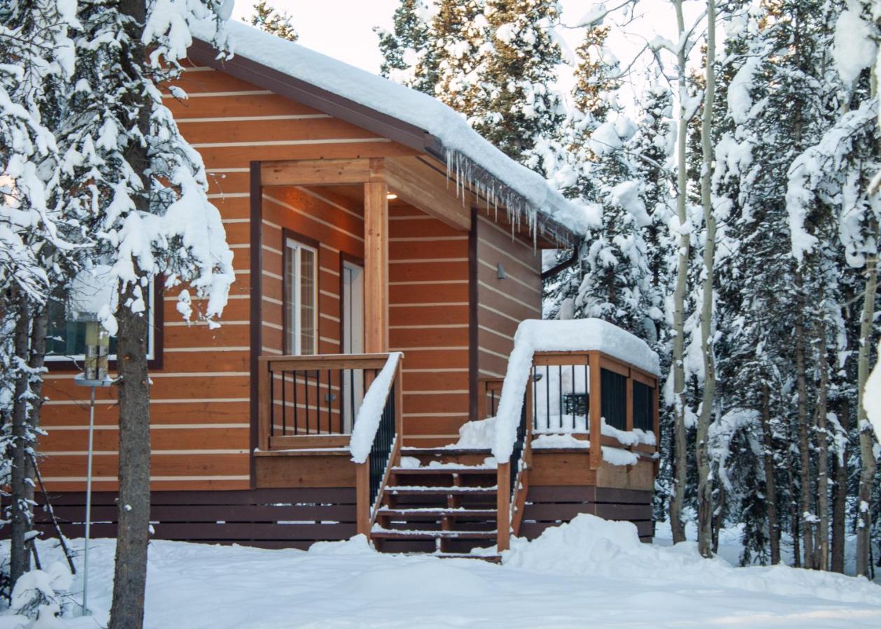 Denali Wild Stay - Moose Cabin, Free Wifi, 2 Private Bedrooms, Sleep 6 ヒーリー エクステリア 写真