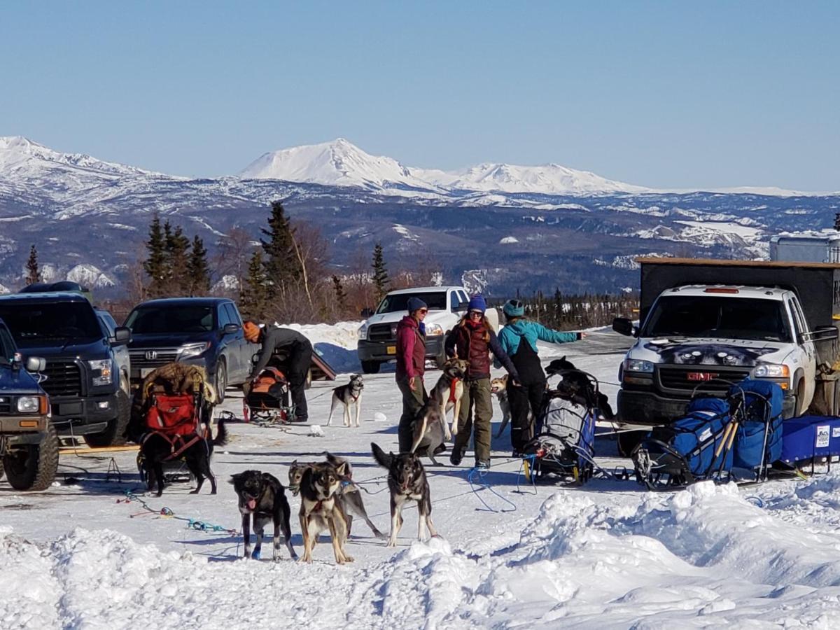 Denali Wild Stay - Moose Cabin, Free Wifi, 2 Private Bedrooms, Sleep 6 ヒーリー エクステリア 写真