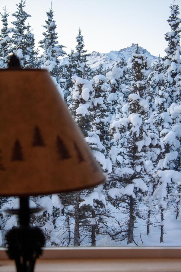 Denali Wild Stay - Moose Cabin, Free Wifi, 2 Private Bedrooms, Sleep 6 ヒーリー エクステリア 写真