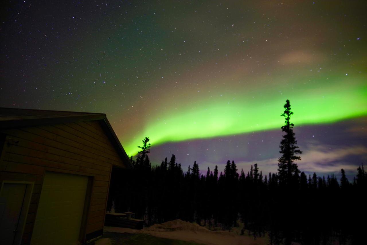 Denali Wild Stay - Moose Cabin, Free Wifi, 2 Private Bedrooms, Sleep 6 ヒーリー エクステリア 写真