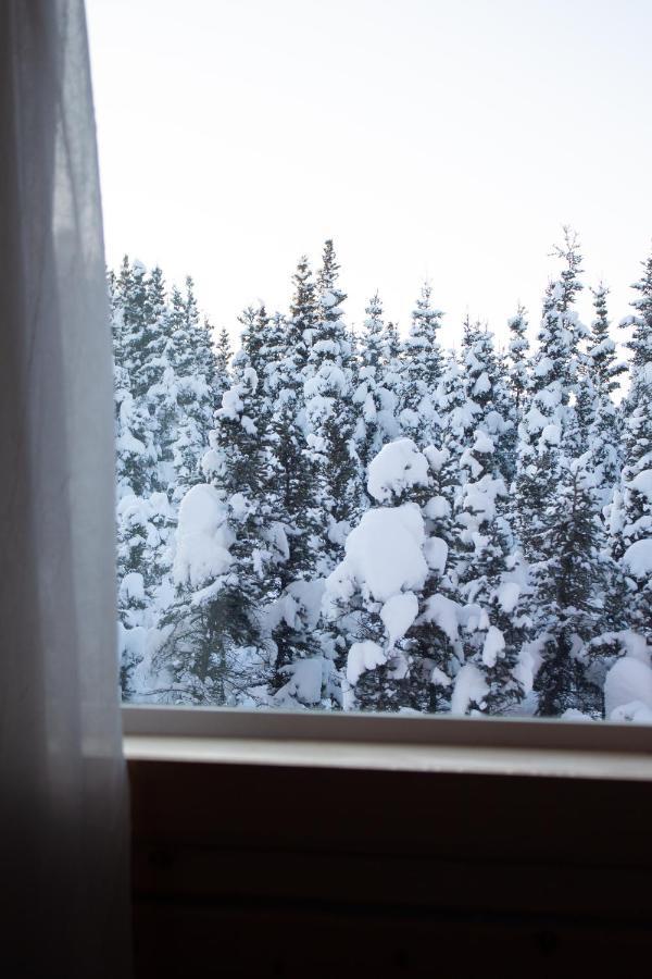 Denali Wild Stay - Moose Cabin, Free Wifi, 2 Private Bedrooms, Sleep 6 ヒーリー エクステリア 写真