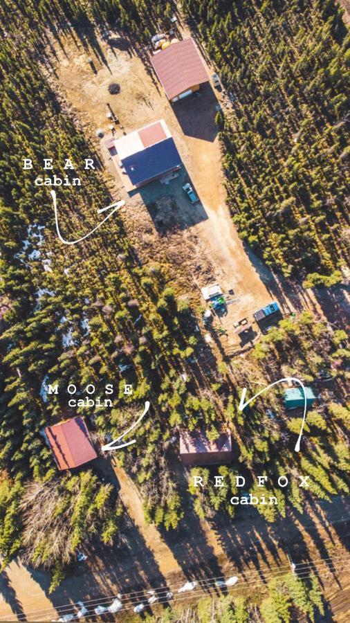 Denali Wild Stay - Moose Cabin, Free Wifi, 2 Private Bedrooms, Sleep 6 ヒーリー エクステリア 写真