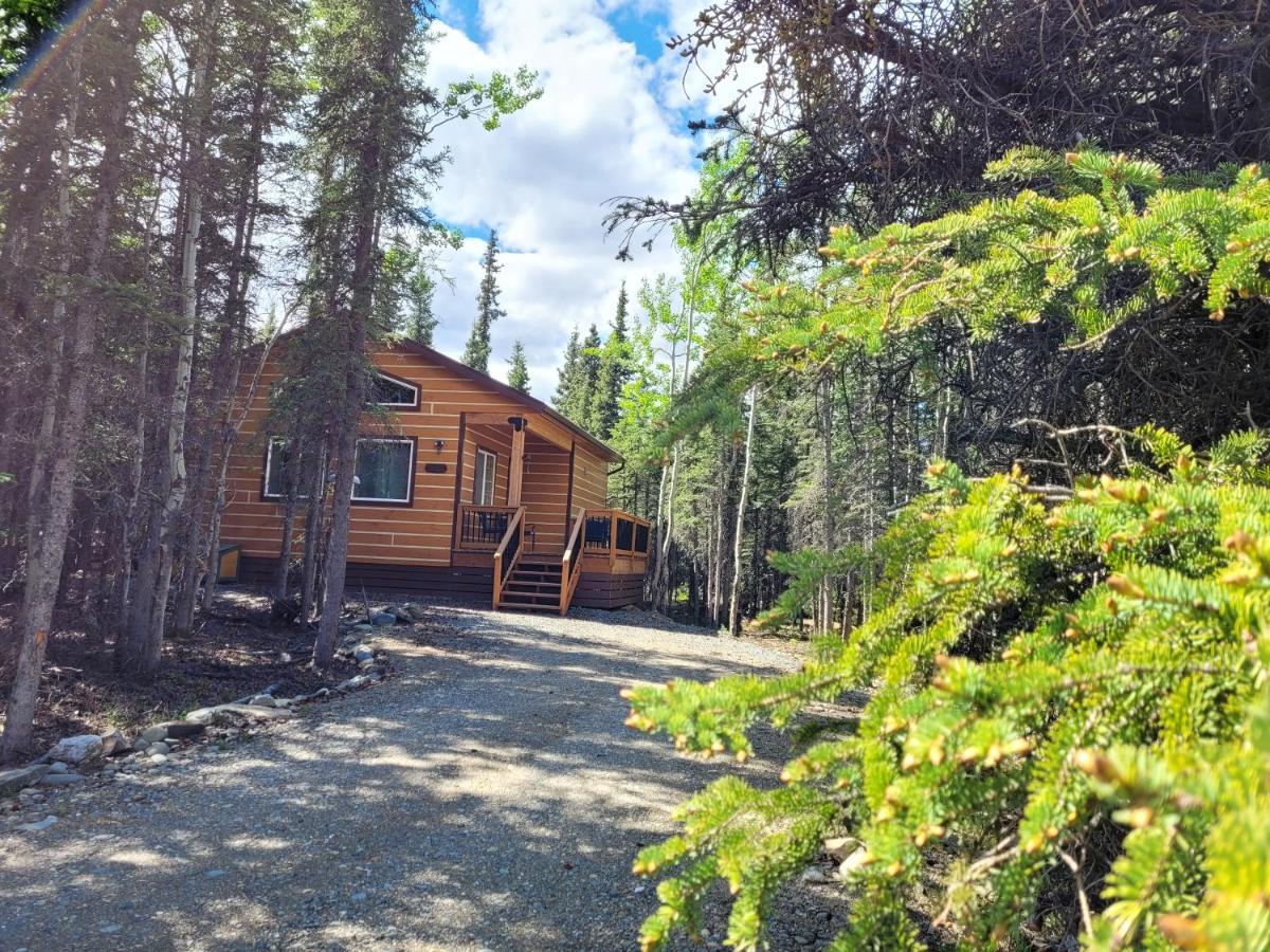 Denali Wild Stay - Moose Cabin, Free Wifi, 2 Private Bedrooms, Sleep 6 ヒーリー エクステリア 写真